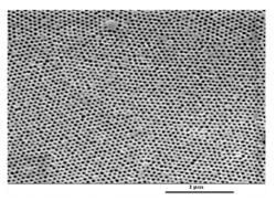 Self-assembled block copolymer membrane