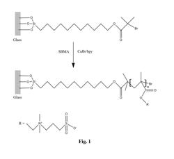 Filters for oil-water separation having zwitterionic polymers coated or grafted thereon