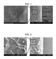 Method for surface treatment of metals using bacteria