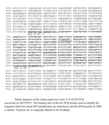 Detection of lethality gene for improved fertility in mammals