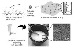 BIOMIMETIC, MOLDABLE, SELF-ASSEMBLED CELLULOSE SILICA-BASED TRIMERIC HYDROGELS AND THEIR USE AS VISCOSITY MODIFYING CARRIERS IN INDUSTRIAL APPLICATIONS