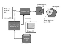 MULTI-AGENT TRAINING OF A COLOR IDENTIFICATION NEURAL NETWORK