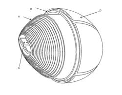 NON-PRISMATIC ELECTROCHEMICAL CELL