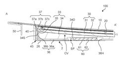 DISPLAY DEVICE