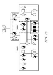 Regulators of NFAT