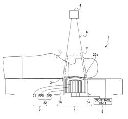 BIOLOGICAL INFORMATION MEASURING APPARATUS