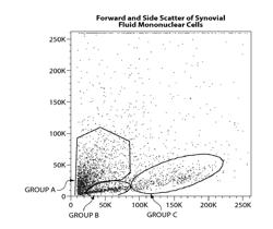 MULTIPOTENT STEM CELLS AND USES THEREOF