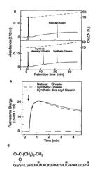 Modified ghrelin peptides