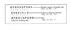 Vaccine adjuvants from self-assembling peptides