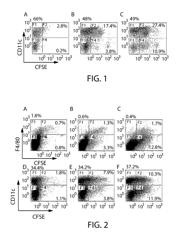 Composition and therapeutic anti-tumour vaccine