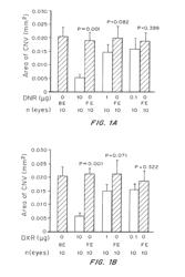 Controlled release formulations for the delivery of HIF-1 inhibitors