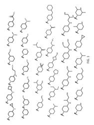 CDK inhibitors