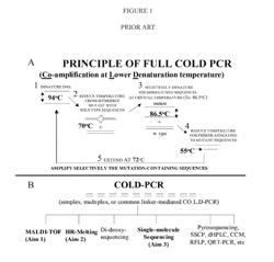 Full COLD-PCR enrichment with reference blocking sequence