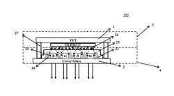 Color filter substrate and fabrication method thereof, OLED structure, related display panel, and related display device