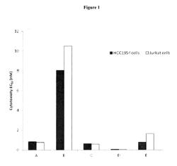 VAR2CSA-DRUG CONJUGATES