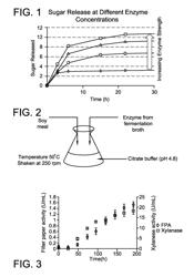 ENZYME-BASED PROTEIN SEPARATION AND ENRICHMENT FROM SOY MEAL, WHEAT MEAL, AND OTHER PROTEIN-RICH MATERIALS DERIVED FROM PLANT SEEDS, FRUITS AND OTHER BIOMASS