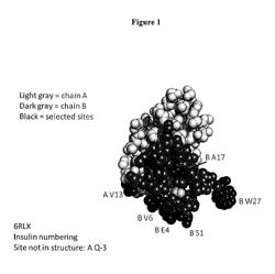 Method of treating heart failure with modified relaxin polypeptides