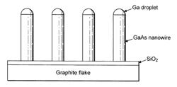 Nanowire epitaxy on a graphitic substrate