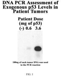 TREATMENT FOR EXPOSURE TO NERVE AGENT