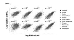 BISPECIFIC IMMUNOMODULATORY ANTIBODIES THAT BIND COSTIMULATORY AND CHECKPOINT RECEPTORS