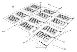 Self-Destructive Documents for information security and Privacy Protection