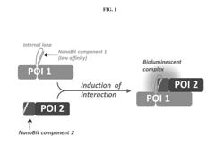 Internal protein tags