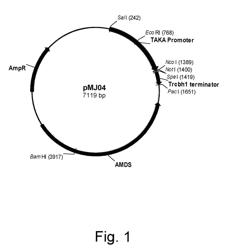 Filamentous fungal host cells and methods of recombinantly producing proteins