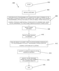 Methods and systems for analyzing images of specimens processed by a programmable quantitative assay