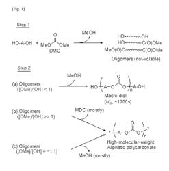 Aliphatic polycarbonate with long-chain branches and aromatic copolyester thereof