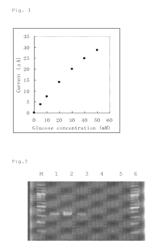 FAD-conjugated glucose dehydrogenase gene