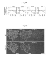 Reducing systemic regulatory T cell levels or activity for treatment of Alzheimer's disease