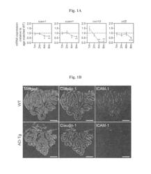 Reducing systemic regulatory T cell levels or activity for treatment of Alzheimer's disease