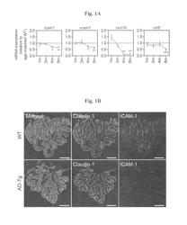 Reducing systemic regulatory T cell levels or activity for treatment of disease and injury of the CNS