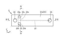 Analysis method, analysis chip, and analysis system