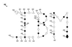 Encoding and decoding data in two-dimensional symbology