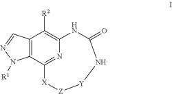 ERK inhibitors