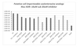 CELL IMPERMEABLE COELENTERAZINE ANALOGUES