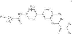 Heteroarylamide inhibitors of TBK1