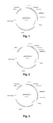 Polynucleotides encoding polypeptides having alpha-amylase activity and methods of making the same