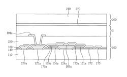 Display device including a data line having a double line structure