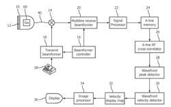 ULTRASONIC TRANSDUCER ARRAY PROBE FOR SHEAR WAVE IMAGING