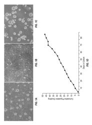 METHOD OF TREATING NEUROLOGICAL DISORDERS WITH STEM CELL THERAPY