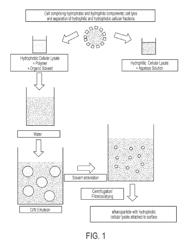 Nanoparticle compositions