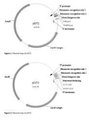 POLYPEPTIDES WITH LIPASE ACTIVITY AND POLYNUCLEOTIDES ENCODING SAME