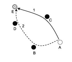 ROUTING MULTIPLE DATA STREAMS SIMULTANEOUSLY IN WIRELESS NETWORKS