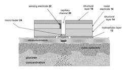 Microfluidic systems for electrochemical transdermal analyte sensing using a capillary-located electrode