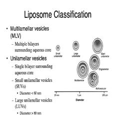 Remote loading of sparingly water-soluble drugs into lipid vesicles