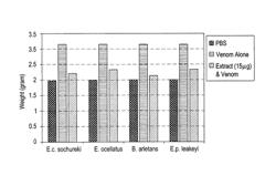 Method of making an Ajwa date-based treatment for snake envenomation