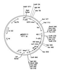 Methods for producing transgenic plants