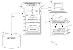 Dual-energy microfocus radiographic imaging method for meat inspection